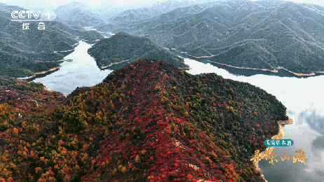 天地慢养，至味随州