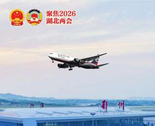 点开这份报告 看见湖北的“全国领先”