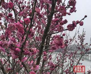 咸安文联征集千副春联迎新年