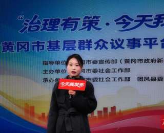 黄冈枫下议事 政策解民忧