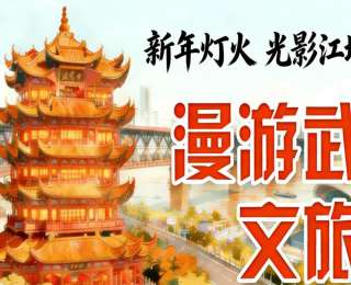 武汉江夏里，鱼灯龙狮陪市民过大年