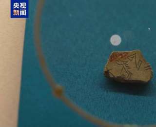 從甲骨殘片“馬”到唐代黑釉三彩陶馬 120余匹“駿馬”國博展出