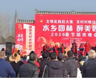 湖北潜江：文化点燃归乡路，百村村晚过大年