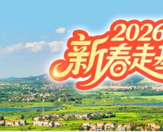 马踏金途！武汉千年“宝马”文物贺新春