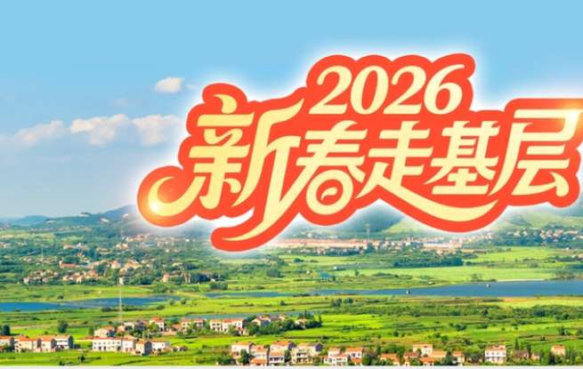 马踏金途！武汉千年“宝马”文物贺新春