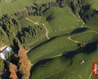 鄂西山城闯出国际大市场，鹤峰外贸年出口额突破9800万美元