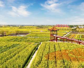 2万元大奖！召唤“油”才的你