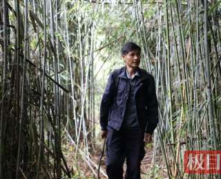 山魂刘炳生：四十年守望，与青山共白头