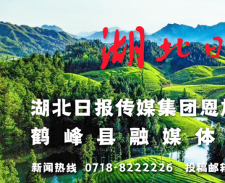 鹤峰：雪落梅开景如画