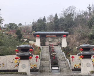 梅绽新景，骏马报春！保康县蜡梅公园焕新迎新春