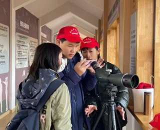 自制喂食器！这群中学生校园内外观测鸟类