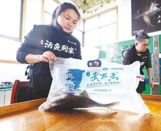 跨越1200公里的鲜活直达 一条武昌鱼20小时“游”上北京餐桌