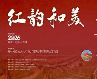 武科大助力红安乡村振兴：腊月文化盛宴绘就“红韵和美”新画卷