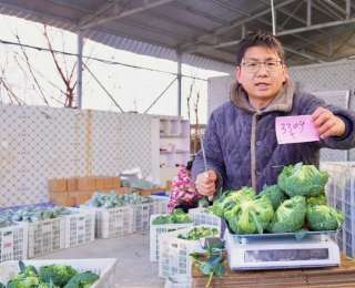 日均突破2000单，田间直播间让鲜菜不愁卖，村民：增收提高近三成