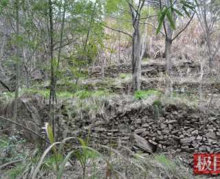 深山两千年：通城药姑山寻找古瑶祖居地，石屋石墙密布山野，专家实地论证——或为瑶族“早期千家峒”核心区