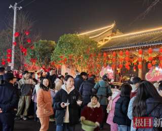 湖北通山：赏灯游园，年味浓浓