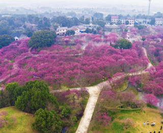 2月14日，来八岭山遇见浪漫与年味！