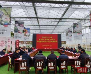 郧西县土门镇：统战聚贤叙乡情，同心共绘振兴卷