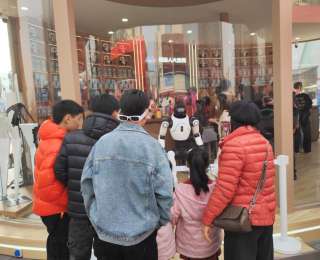 这个年“智”感十足——当传统新春邂逅前沿科技