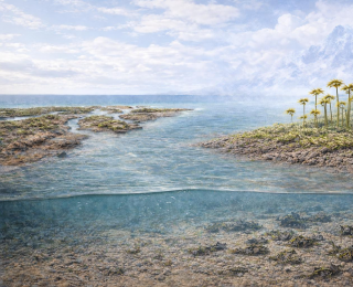 我国科研团队新发现：4亿多年前早期植物已在陆地大规模扩张