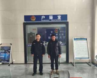 小“猪獾”误入村庄，通山警民携手及时救助