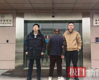 快侦快破！通城警方抓获系列车内财物盗窃嫌疑人