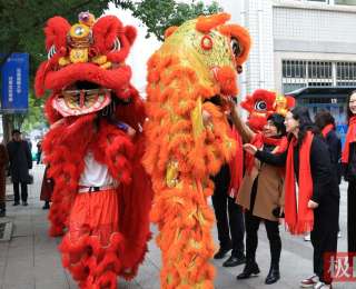 太热闹！武汉这所高校龙狮巡游，师生沉浸式过元宵