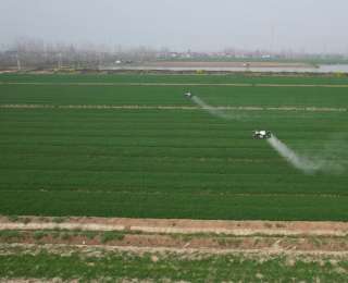 应城市南垸良种场：无人机“飞”出春耕新画卷