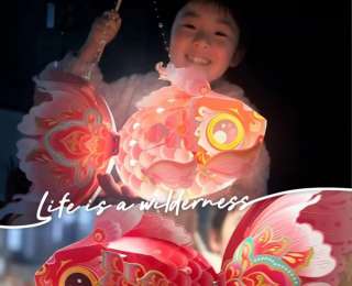 元宵“马”上乐！武汉光谷二小萌娃趣玩传统佳节