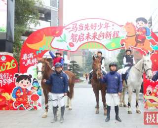 马到成功具象化了！湖北三匹省运战马进小学，携手机器马为学子开路