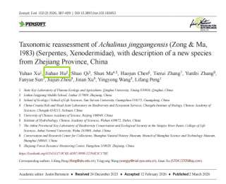 浙江17岁男生发现新物种“筷子蛇”！日行百公里，“刷山”40多夜：人生第一篇SCI