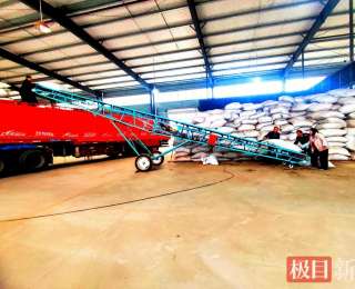 湖北竹山：28吨大宗茶发往福建，山货出海实现“开门红”