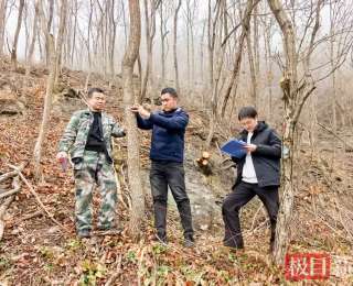 竹山精准布设监测样地，筑牢生态保护屏障