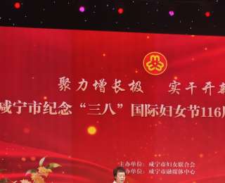 聚力增长极，实干开新局——咸宁举办纪念“三八”国际妇女节主题活动