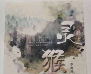 嚴(yán)輝文｜《靈猴》為什么靈