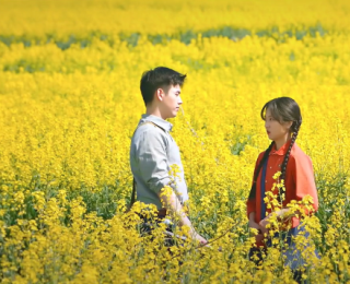 陳飛宇爆款劇拍攝地賈玲也曾取景