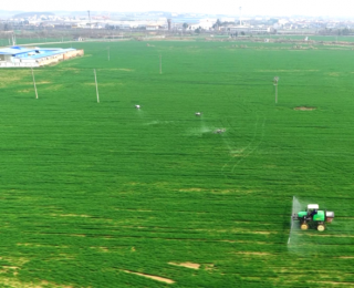 孝昌：44万亩粮油春管忙 智能护航夏粮丰收