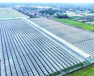 住进智能房 喝上营养水 孝昌春管有点“酷”