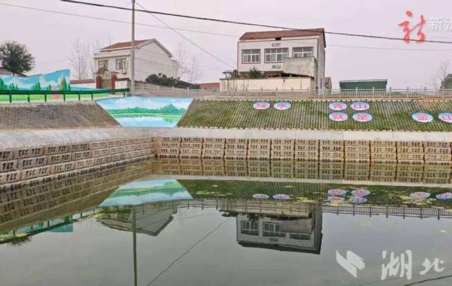 “臭水沟”蝶变“幸福岸” 武汉打造农村黑臭水体治理样板