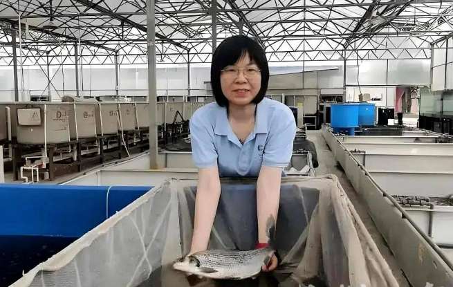 华中农大高泽霞教授获评“湖北省三八红旗手”