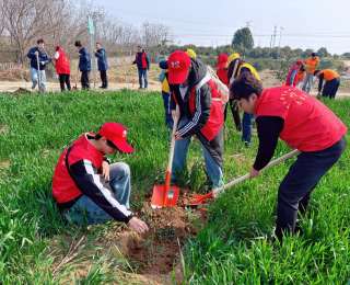从校园到乡村：高校青协在“铁塔茶香·电暖乡村”活动中绽放青春光芒