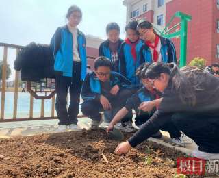 先认茼蒿再学种植，初中生在植树节前夕学种蔬菜