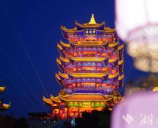 日赏鹤舞楚韵 夜赴樱花幻梦 黄鹤楼樱花季活动来了