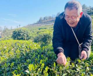 以“玉露”之名成长