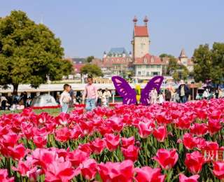 知音湖北拉开赏花大幕，官方发布十大赏花目的地、十大踏春目的地