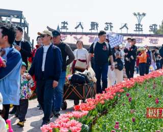 香港游客畅游江城花海：“武汉非常国际化、时尚化，处处充满活力！”