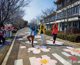 武汉樱花的魅力！珠海阿姨携17位好友二次打卡“超上头”