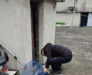 一“码”响应护民安：通山公安快速处置流浪犬隐患