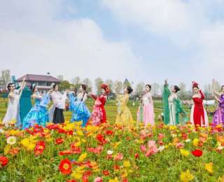 湖北拉开赏花大幕，蔡甸花博汇“十二花神”邀你赴春日之约