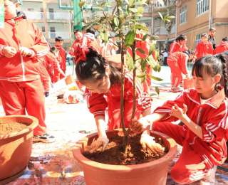 种下一棵“心愿树”，留下六年母校情，小学毕业季以植树节启幕，用绿色见证成长